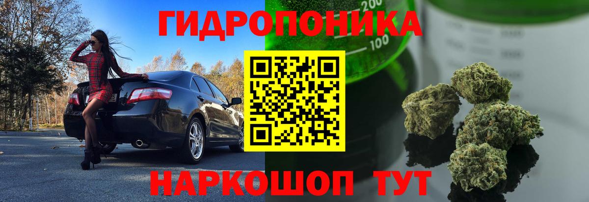 Шишки марихуана OG Kush  Бошки Шишки конопля  Тверь  Вход с VPN  Шишки марихуана гибрид 